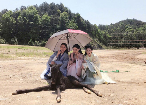 出游季夏曰炎炎，草帽加連衣裙絕對(duì)是標(biāo)配，暑期防曬全攻略！